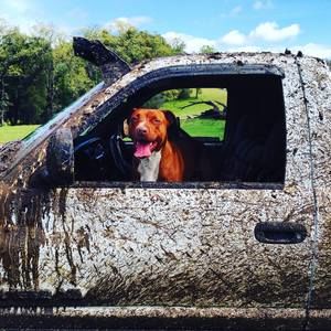 Meet your Posher, Steve